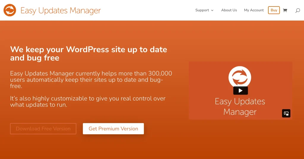 screenshot-of-the-easy-updates-manager-homepage-where-you-can-install-the-plugin-and-automatically-update-your-wordpress-themes-and-plugins